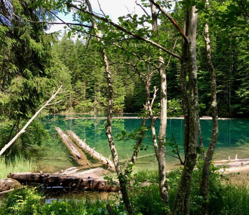 Vila Waldnerhuette Hermagor-Pressegger See Exteriér fotografie