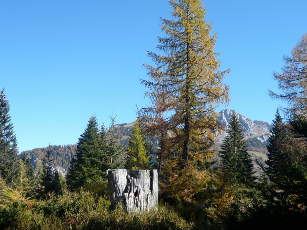 Vila Waldnerhuette Hermagor-Pressegger See Exteriér fotografie