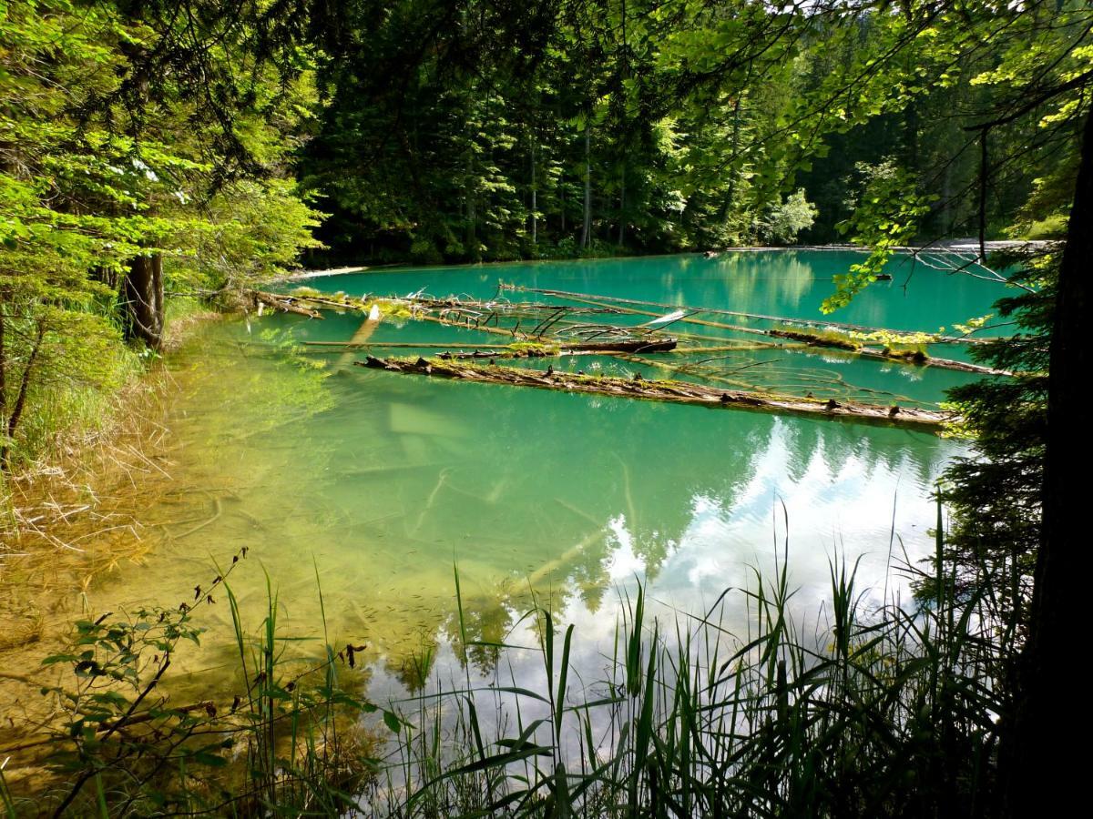Vila Waldnerhuette Hermagor-Pressegger See Exteriér fotografie